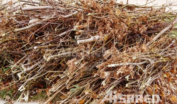 Tocător cu două arbori pentru prelucrarea deșeurilor verzi și a biomasei